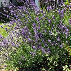 Hi, Welcome to my closet!